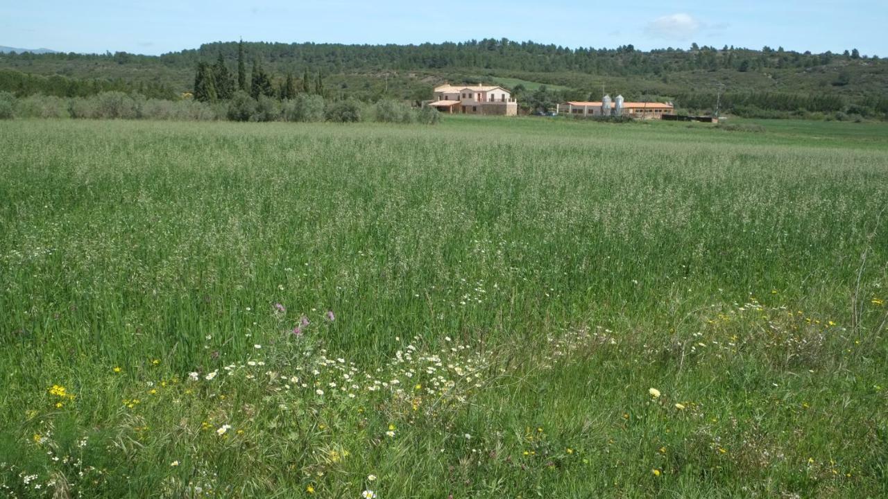 Séjour à la campagne La Masia De Montpedros Peralada
